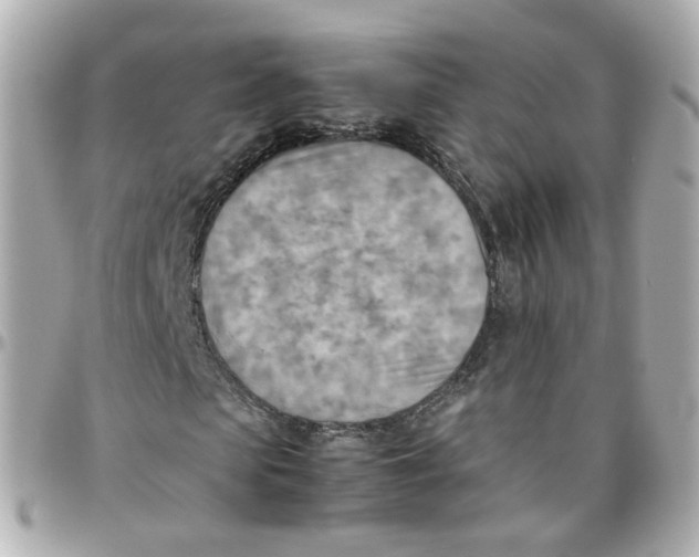 X0000095890913200802011103