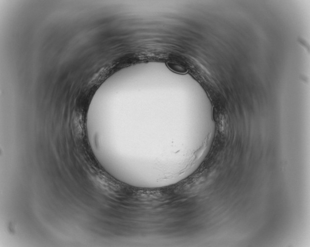 X0000095890915200802011103