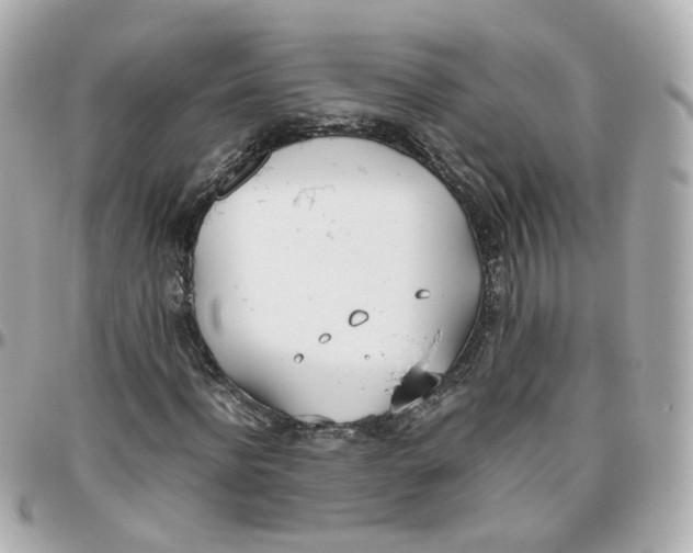 X0000095890916200802011103