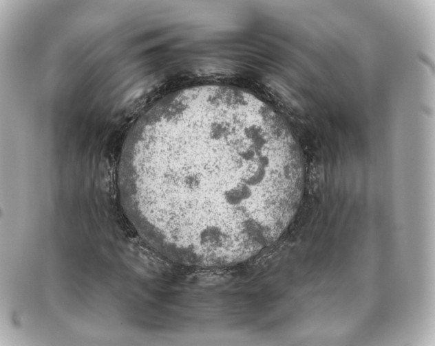 X0000095890917200802011103