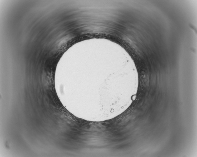 X0000095890918200802011103