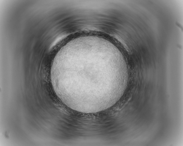 X0000095890919200802011103