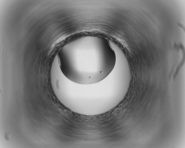 X0000095890920200802011103