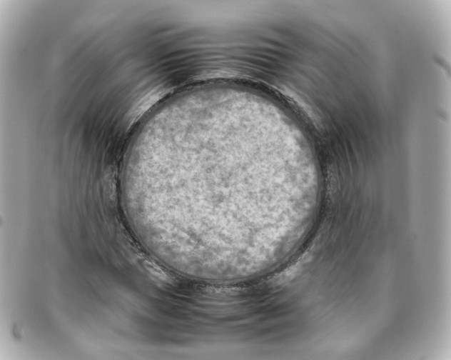 X0000095890921200802011103