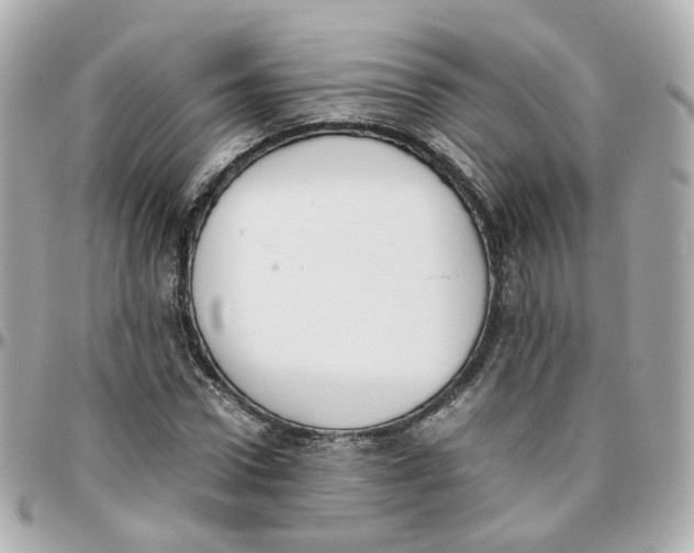 X0000095890922200802011103