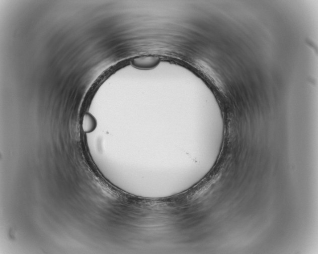 X0000095890924200802011103