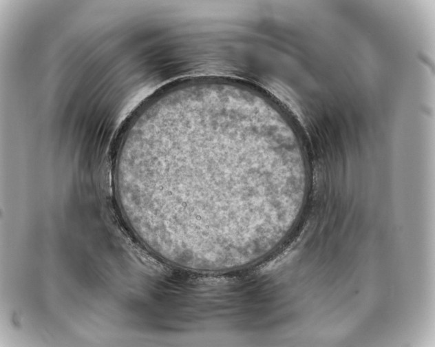 X0000095890925200802011103