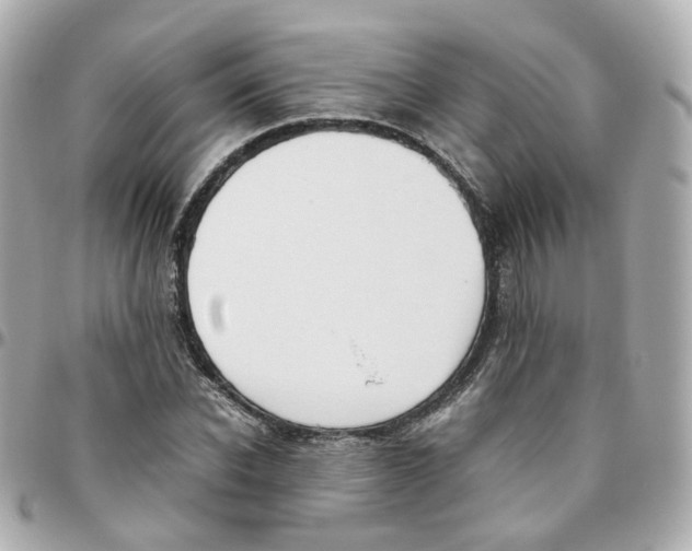 X0000095890926200802011103