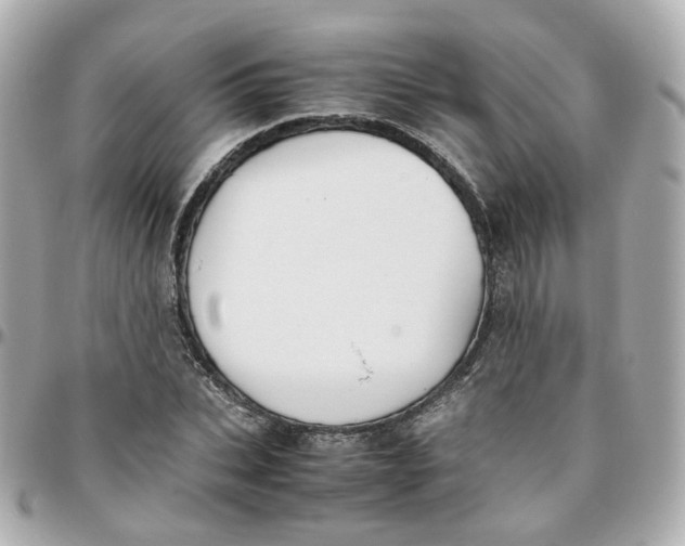 X0000095890927200802011103