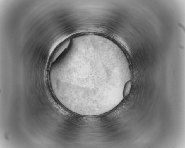 X0000095890928200802011103