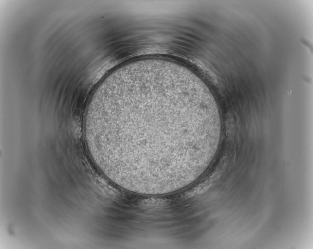 X0000095890929200802011103