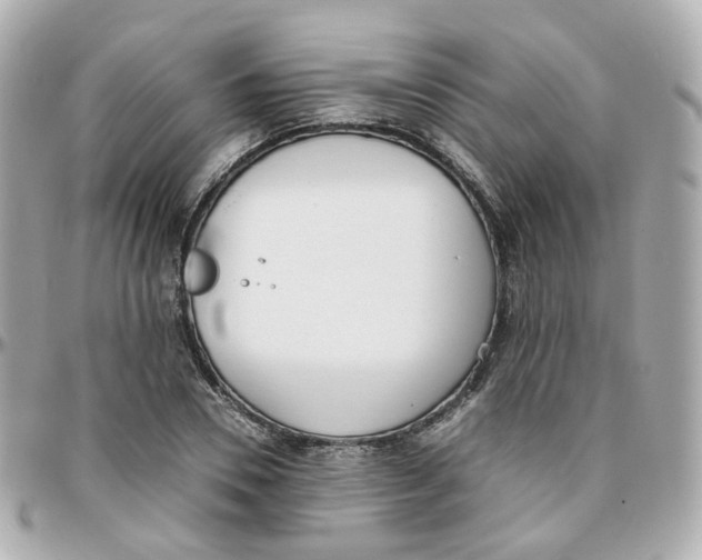 X0000095890930200802011103