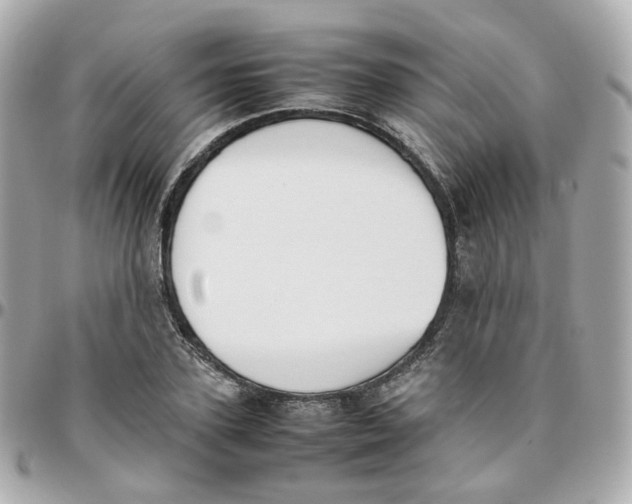 X0000095890931200802011103