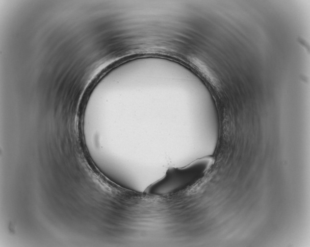 X0000095890932200802011103