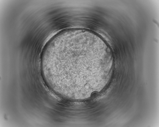 X0000095890933200802011103