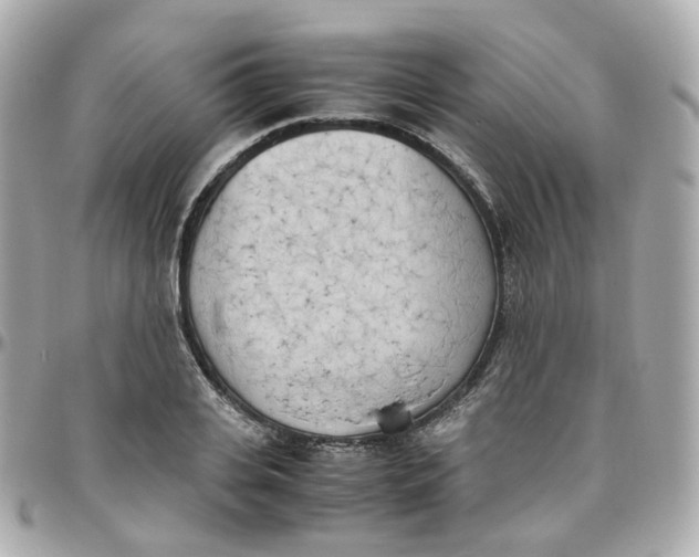 X0000095890935200802011103