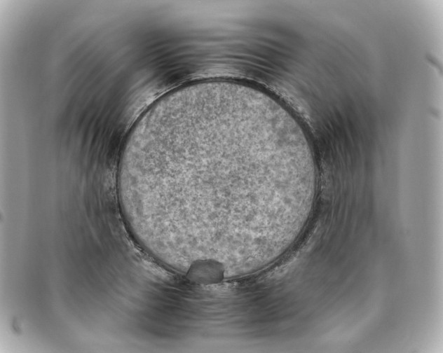 X0000095890937200802011103