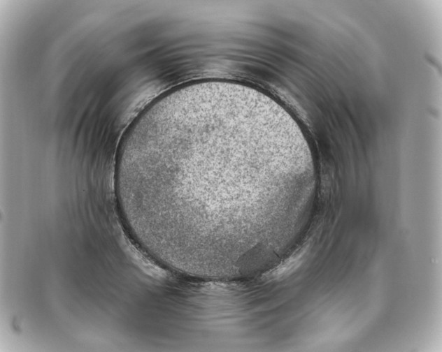 X0000095890938200802011104