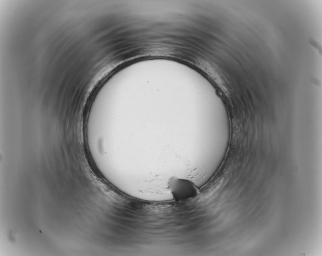 X0000095890939200802011104