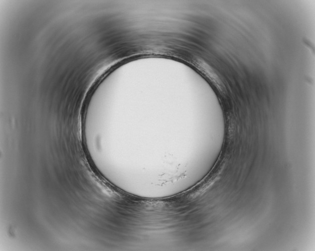 X0000095890940200802011104