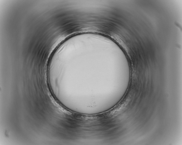 X0000095890941200802011104