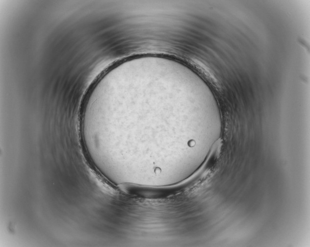 X0000095890942200802011104