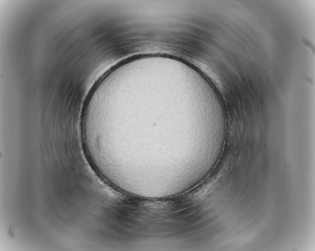 X0000095890943200802011104