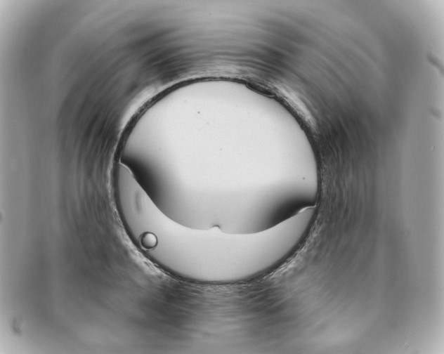 X0000095890944200802011104