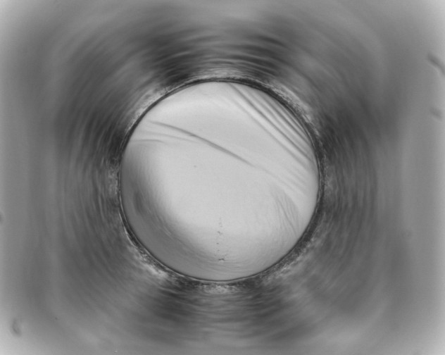 X0000095890945200802011104