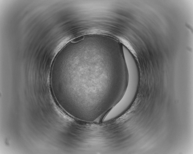 X0000095890946200802011104