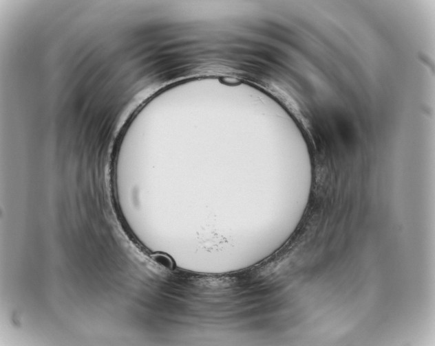 X0000095890947200802011104