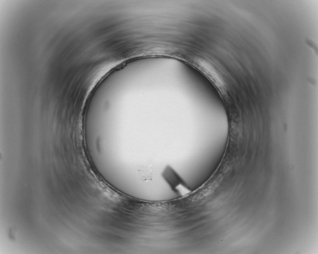 X0000095890948200802011104