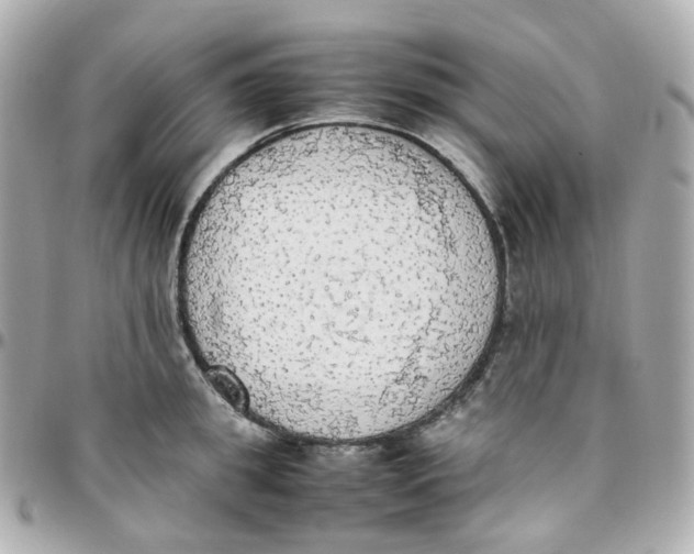 X0000095890949200802011104