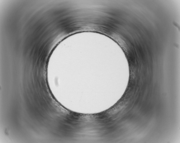 X0000095890950200802011104