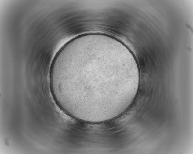 X0000095890951200802011104