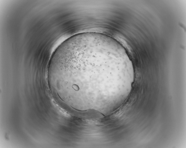 X0000095890952200802011104