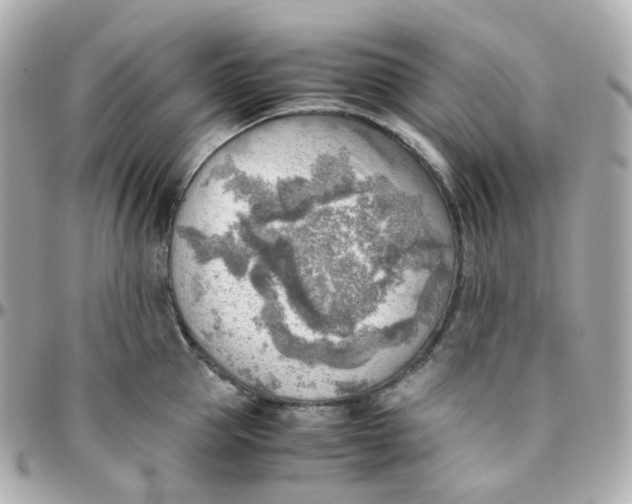 X0000095890953200802011104