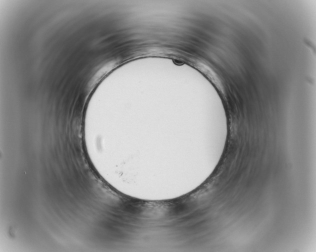 X0000095890954200802011104