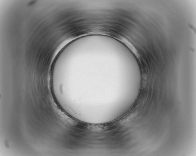 X0000095890955200802011104