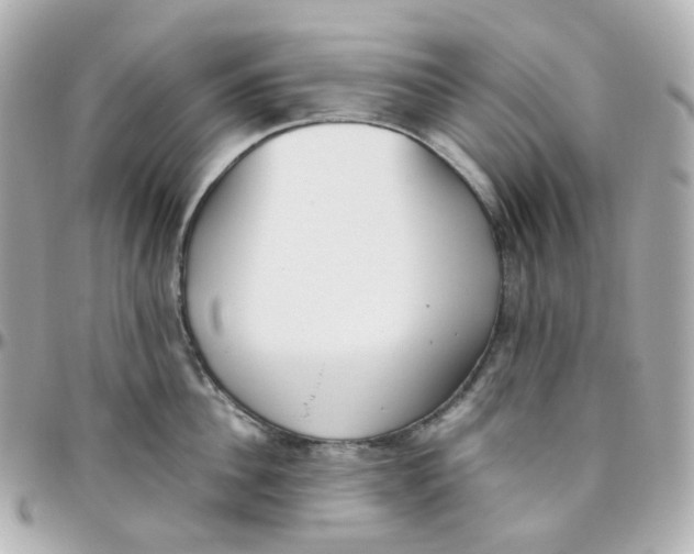 X0000095890956200802011104