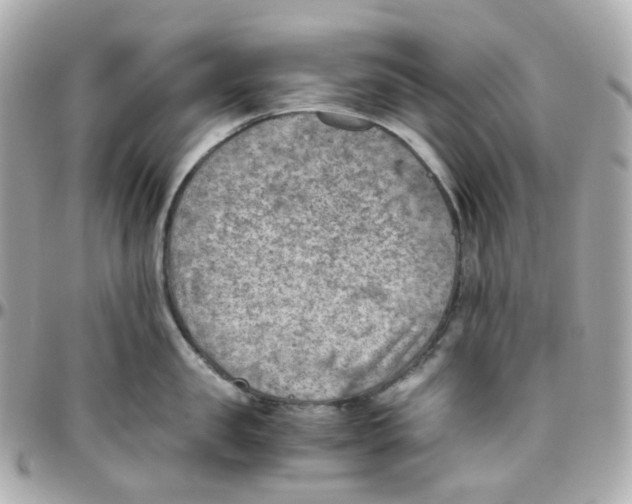 X0000095890957200802011104