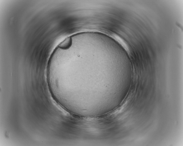 X0000095890958200802011104