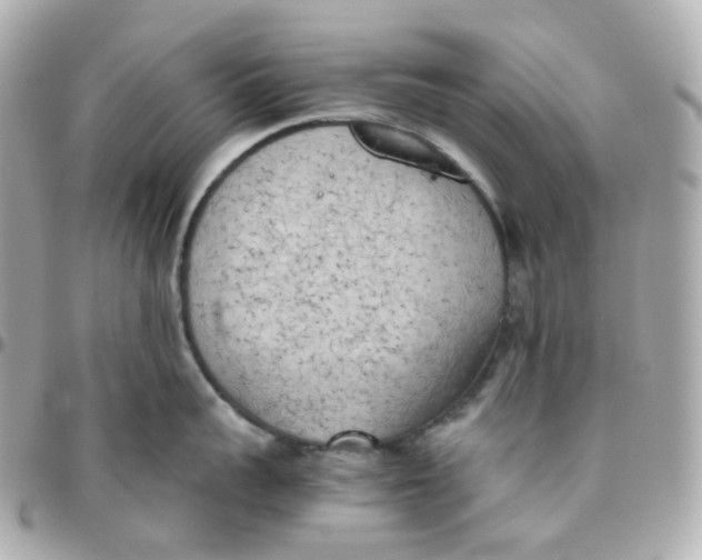 X0000095890959200802011104