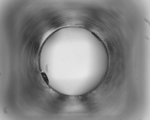 X0000095890960200802011104