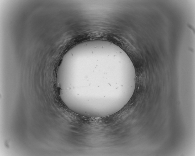 X0000095890961200802011103