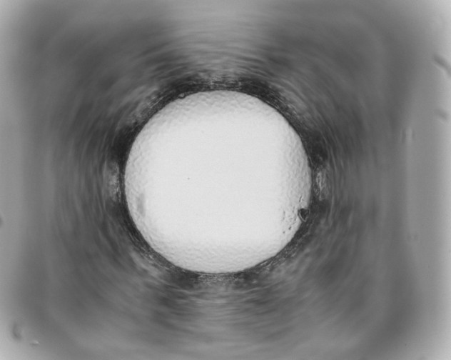 X0000095890963200802011103