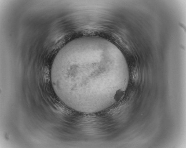 X0000095890964200802011103