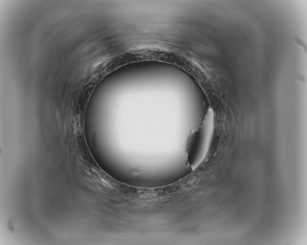 X0000095890965200802011103