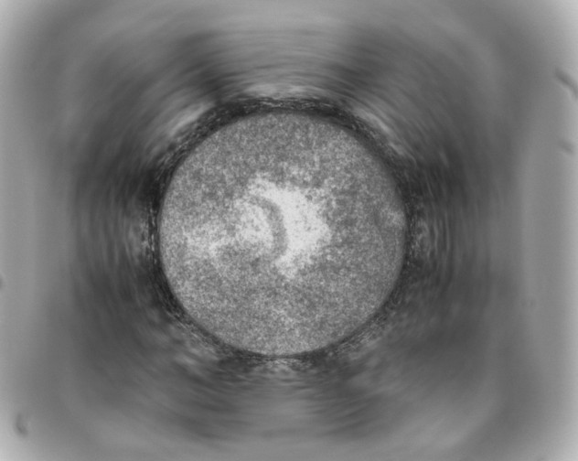 X0000095890966200802011103