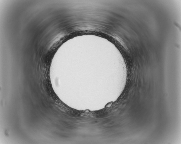 X0000095890967200802011103